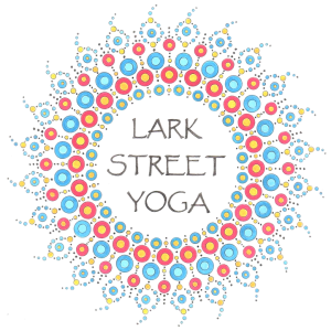 Lark Street Yoga, Albany